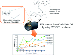 Graphical abstract: Decreasing free fatty acid of crude palm oil with polyvinylidene fluoride hollow fiber membranes using a combination of chitosan and glutaraldehyde