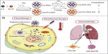 Graphical abstract: Combined chemo-immuno-photothermal therapy based on ursolic acid/astragaloside IV-loaded hyaluronic acid-modified polydopamine nanomedicine inhibiting the growth and metastasis of non-small cell lung cancer