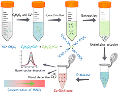 Graphical abstract: Rapid and visual detection of dichloroacetonitrile in water