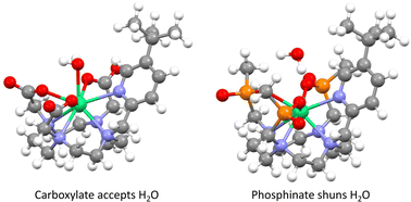 Graphical abstract: Determination of molecular hydration in solution via changes in magnetic anisotropy