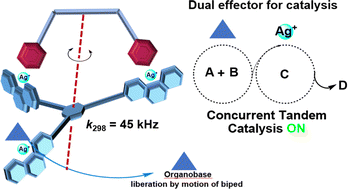 Graphical abstract: Concurrent tandem catalysis enabled by nanomechanical motion in heteroleptic four-component dual-catalyst machinery