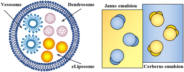 Graphical abstract: Multicompartment colloid systems with lipid and polymer membranes for biomedical applications