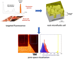 Graphical abstract: Micro X-ray fluorescence reveals pore space details and spatially-resolved porosity of rock-based microfluidic devices