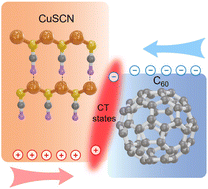 Graphical abstract: Solution treatment controls charge-transfer states and energy-level alignment at hybrid CuSCN-organic interfaces