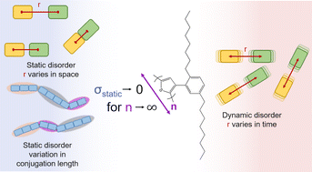 Graphical abstract: A spectroscopic assessment of static and dynamic disorder in a film of a polythiophene with a planarized backbone