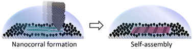 Graphical abstract: Chiral induction in substrate-supported self-assembled molecular networks under nanoconfinement conditions