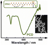 Graphical abstract: Modulation of plasmonic chiral shell growth on gold nanorods via nonchiral surfactants