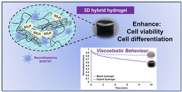 Graphical abstract: Mimicking the extracellular matrix by incorporating functionalized graphene into hybrid hydrogels