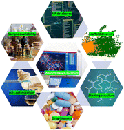 Graphical abstract: Challenges in natural product-based drug discovery assisted with in silico-based methods