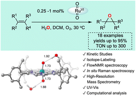 Graphical abstract: Water co-catalysis in aerobic olefin epoxidation mediated by ruthenium oxo complexes