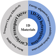 Graphical abstract: Critical role of 1D materials in realizing efficient and stable perovskite solar cells