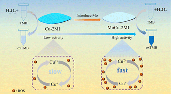 Graphical abstract: Enhanced peroxidase-like activity of MOF nanozymes by co-catalysis for colorimetric detection of cholesterol