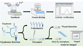 Graphical abstract: CuCeTA nanoflowers as an efficient peroxidase candidate for direct colorimetric detection of glyphosate