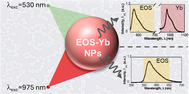 Graphical abstract: NIR-triggered upconversion and sensitized NIR-emission in Yb-based Eosin Y lake doped latex nanoparticles
