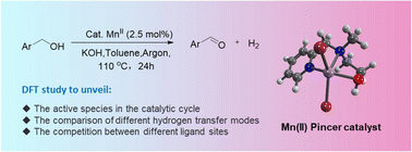 Graphical abstract: Unveiling a unique outer-sphere pathway in manganese-catalyzed acceptorless dehydrogenation reaction