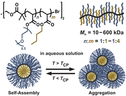 Graphical abstract: Design and synthesis of amphiphilic statistical copolymers forming unimeric micelles with thermoresponsive behaviour in the physiological range