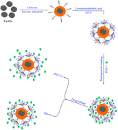 Graphical abstract: Investigation of pantoprazole loading and release from a magnetic-coated chitosan-modified zirconium-based metal–organic framework (MOF) as a nanocarrier in targeted drug delivery systems