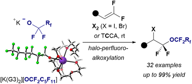 Graphical abstract: Halo-perfluoroalkoxylation of gem-difluoroalkenes with short-lived alkali metal perfluoroalkoxides in triglyme