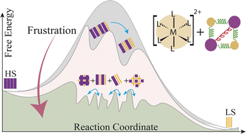 Graphical abstract: Complex relaxation of trapped spin-states in spin crossover materials