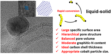 Graphical abstract: Advanced cobalt-based hierarchical and gradient armor catalysts for high-performance Li–S batteries over a wide temperature range