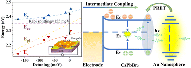 Graphical abstract: Colossal photodetection enhancement via plasmon–exciton synergy in ultra-smooth CsPbBr3 microplates