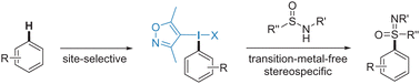 Graphical abstract: Transition-metal-free arene C–H functionalization for the synthesis of sulfoximines