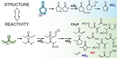 Graphical abstract: Low-temperature autooxidation of cyclopentanone and 3-pentanone: the critical role of competing radical chain branching and chain inhibiting pathways