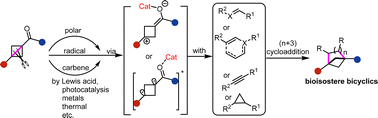 Graphical abstract: Catalytic strain-release enabled cycloaddition of carbonyl activated bicyclo[1.1.0]butanes