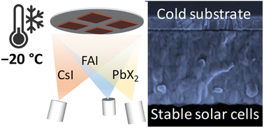 Graphical abstract: Tuning substrate temperature for enhanced vacuum-deposited wide-bandgap perovskite solar cells: insights from morphology, charge transport, and drift-diffusion simulations