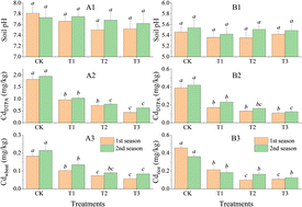 Graphical abstract: Environmental stability characteristics of the immobilization effect of sulfhydryl grafted palygorskite on soil-available cadmium