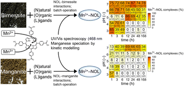 Graphical abstract: Dissolved trivalent manganese in forest soils – interactions of natural organic ligands with manganese oxides