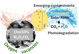 Graphical abstract: Oxygen vacancy-engineered Bi2O2CO3 nanosheets for enhanced photodegradation of pharmaceuticals and personal care products in water
