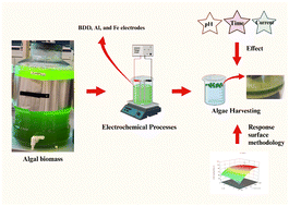Graphical abstract: Improving microalgae harvesting efficiency: electrochemical techniques and parameter optimization