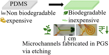 Graphical abstract: Use of poly(glycerol sebacate) as an alternative to poly(dimethylsiloxane) as a platform for making micro-fluidic channels