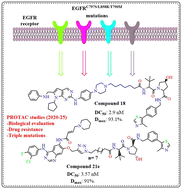 Graphical abstract: PROTAC approaches against drug-resistant EGFRC797S/L858R/T790M mutants: biological evaluation and SAR studies (2020–2025)