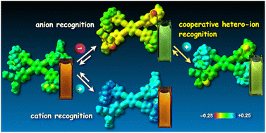 Graphical abstract: X-shaped π-conjugated fluorophores enable cooperative ion-pair recognition with multicolour emission