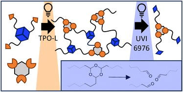 Graphical abstract: Trioxanes as photodegradable motifs for additive manufacturing