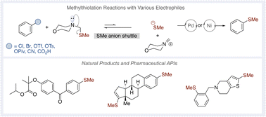 Graphical abstract: Metal-catalyzed methylthiolation of chloroarenes and diverse aryl electrophiles