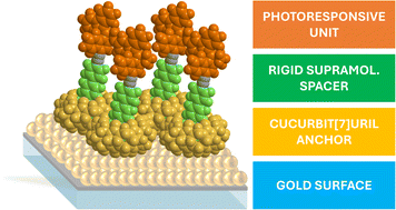 Graphical abstract: Cucurbit[7]uril as a universal anchor for photoswitchable monolayers on gold