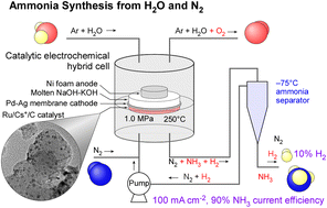 Graphical abstract: Ammonia synthesis from water and nitrogen using electricity with a hydrogen-permeable membrane electrochemical cell with Ru catalysts and molten hydroxide electrolyte: integration with ammonia separation and unreacted gas recirculation