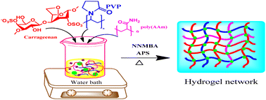 Graphical abstract: Designing marine-derived carrageenan-based biomimetic functional materials via a green approach for sustainable development: cellular proliferation and mucosal tissue drug delivery applications