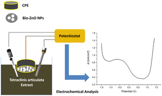 Graphical abstract: Development of a bio-synthesized zinc oxide nanoparticle sensor for the quantification of totarolone in Tetraclinis articulata