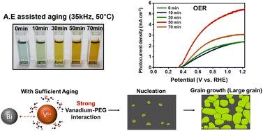 Graphical abstract: Control of crystallization dynamics via vanadium–polyethylene glycol interactions toward high-performance BiVO4 photoanodes