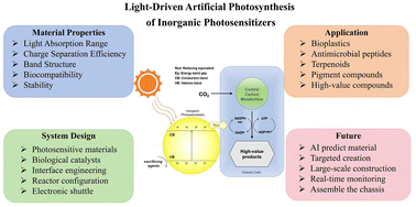 Graphical abstract: Light-driven artificial photosynthesis: integrating inorganic photosensitizers with biological systems for sustainable biosynthesis