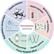 Graphical abstract: Internal field and interfaces in organic and perovskite optoelectronic devices investigated via electroabsorption spectroscopy
