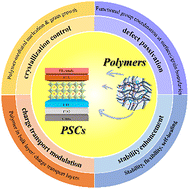 Graphical abstract: Polymer-engineered perovskite solar cells: synergistic strategies for multiscale stability and high-efficiency photovoltaics