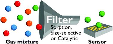Graphical abstract: Highly selective gas sensing enabled by filters