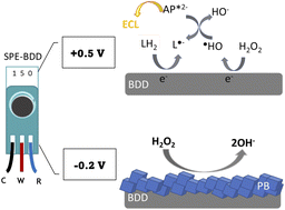 Graphical abstract: Comparison between electrochemiluminescence of luminol and electrocatalysis by Prussian blue for the detection of hydrogen peroxide