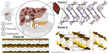 Graphical abstract: Bilirubin and its crystal forms