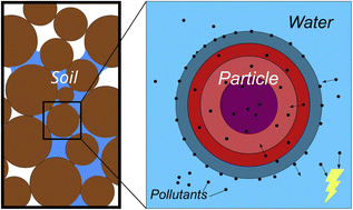 Graphical abstract: Identification of dissipation pathways for pharmaceuticals in soils – a modelling approach